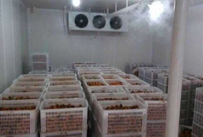 跟着安徽色色色色色视频一起来了解下影响冷库设备制冷效果的几个因素吧！