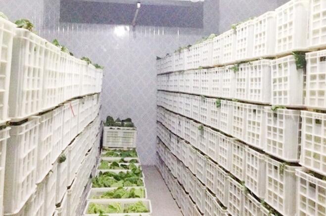 蔬菜保鲜冷库存储技术及保鲜期限，由色色的软件下载厂家来解释