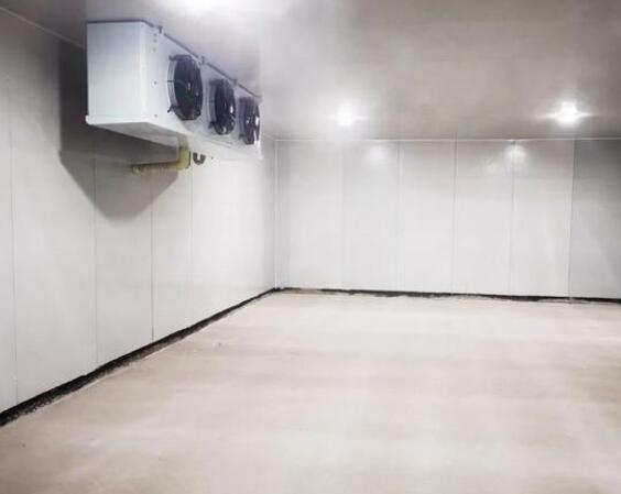 钢结构冷库造价要多少钱一平方？安徽色色色色色视频制冷告诉您